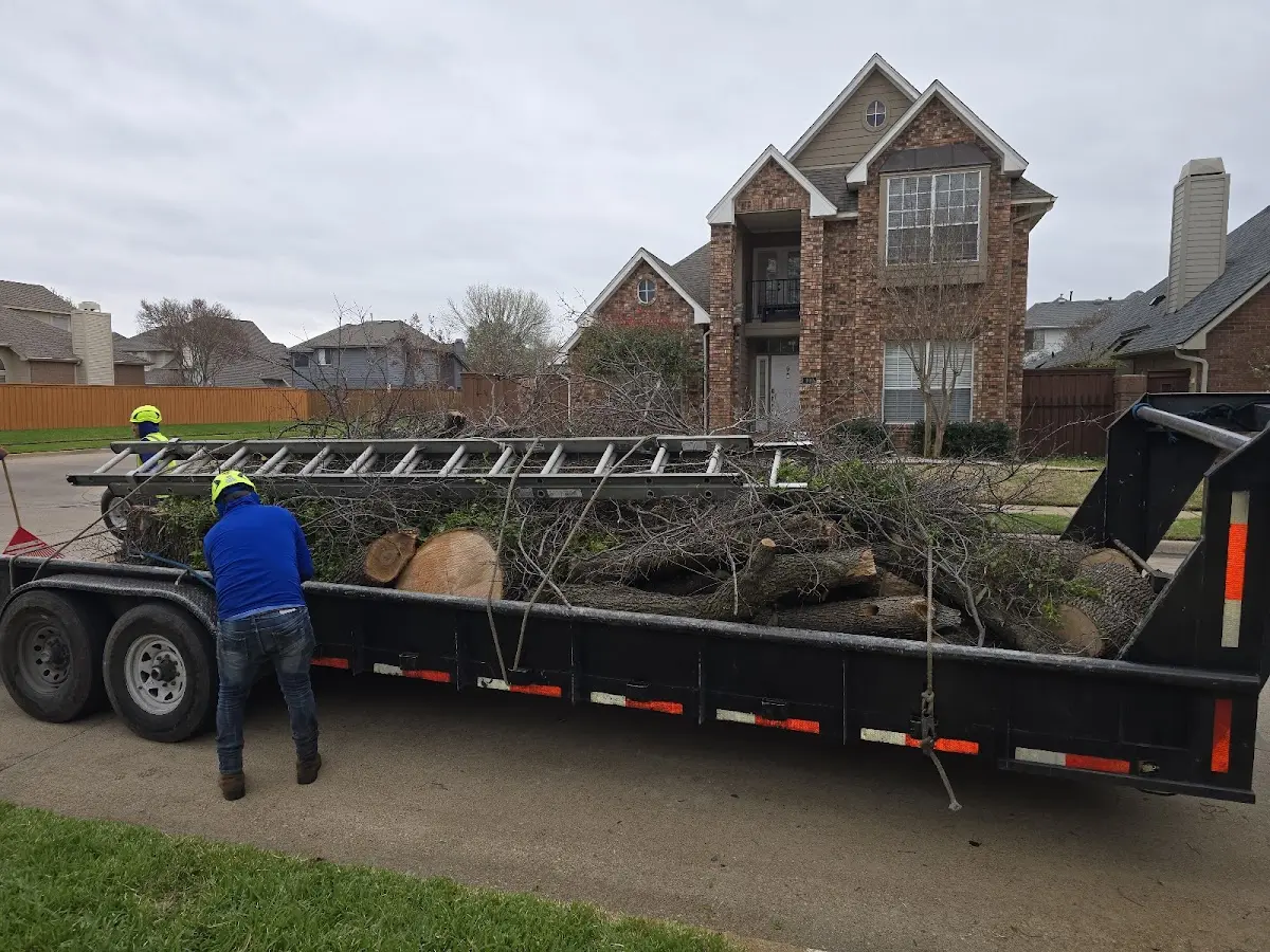 Expert Tree Pest Control with proper safety equipment in Petersburg